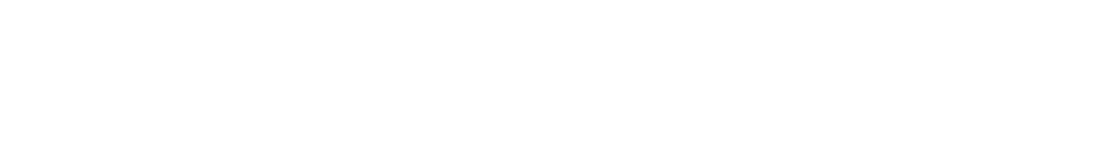 Logo 2025